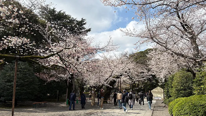 戦争を知ることの大切さを感じた理由