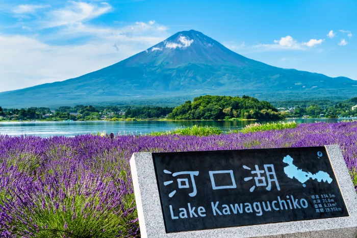 東京発の日帰り貸切タクシーで訪れる富士山・箱根方面の風景
